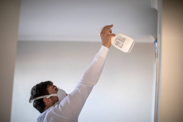 Home Mold Removal in Buzzards Bay, MA